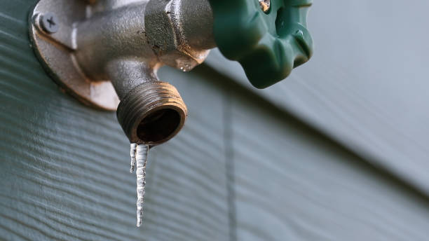 Best Sewer Line Repair  in Salem, MO